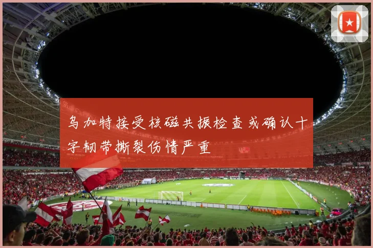 乌加特接受核磁共振检查或确认十字韧带撕裂伤情严重