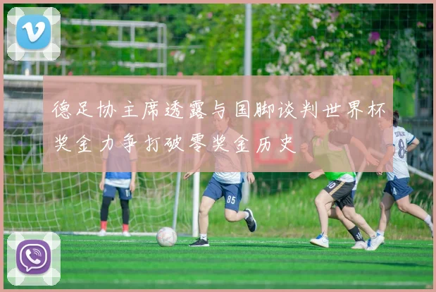 德足协主席透露与国脚谈判世界杯奖金力争打破零奖金历史