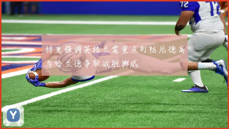 特里强调英格兰需重点盯防厄德高与哈兰德争取战胜挪威