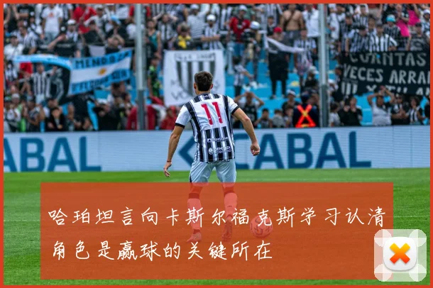 哈珀坦言向卡斯尔福克斯学习认清角色是赢球的关键所在
