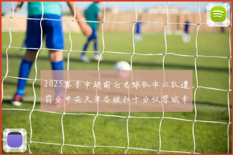 2025赛季中超前七名球队中六队遭罚分申花天津各被扣十分仅蓉城幸免