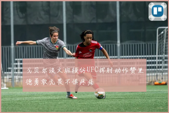 戈贝尔谈文班模仿UFC挥肘动作赞里德勇敢无畏不惧疼痛