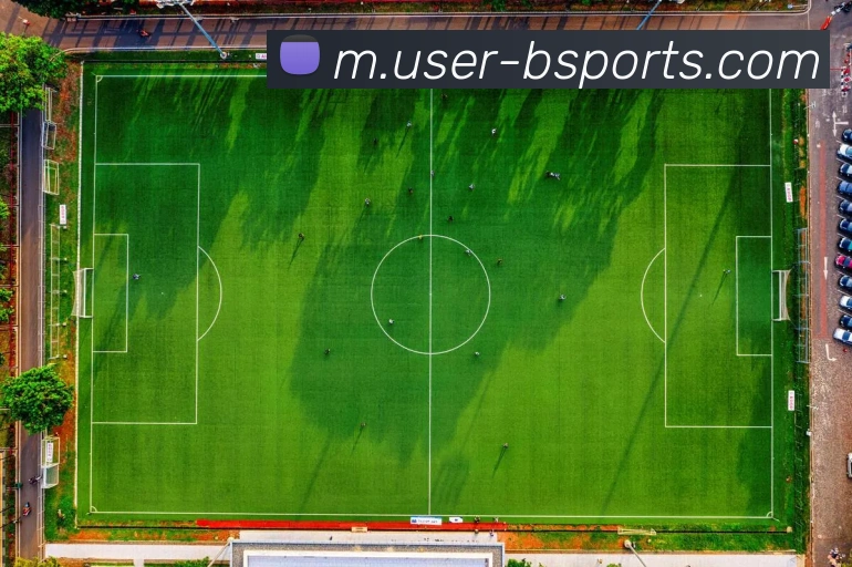奖项证书