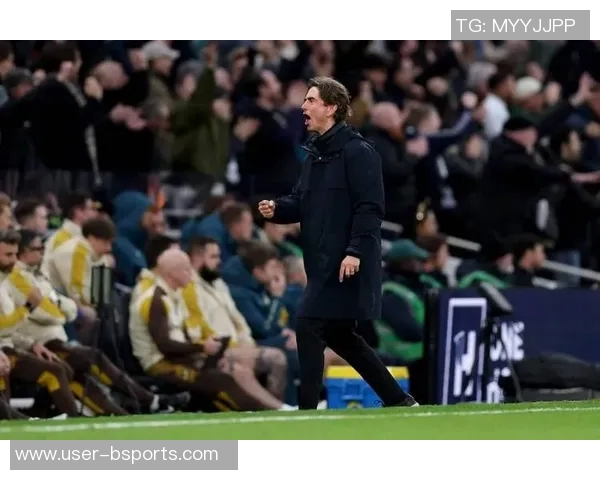 前主帅：热刺唯有进军欧冠才能满足球迷期待欧联杯成就微不足道