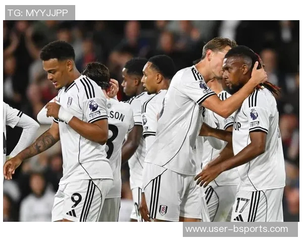 威尔逊谈富勒姆遭遇不公判罚希望未来能有所改善